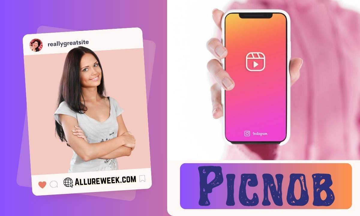 Picnob: A Complete Guide Of Instagram Viewers and Downloaders